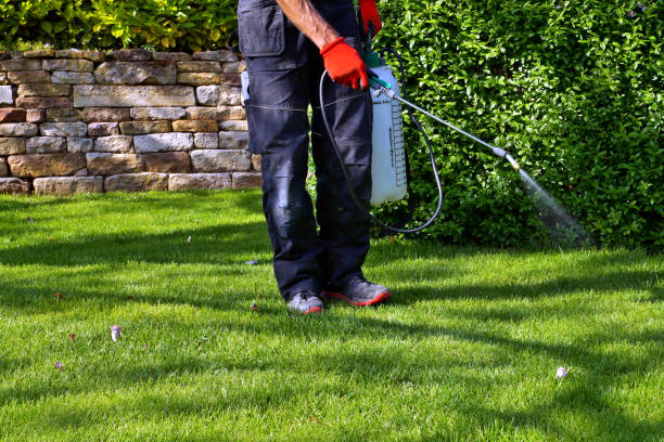 Lawn Pest Control in Fife Heights, WA